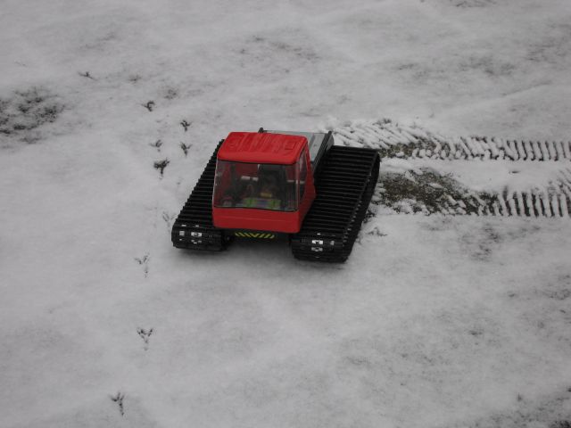 Blizzard im Schnee